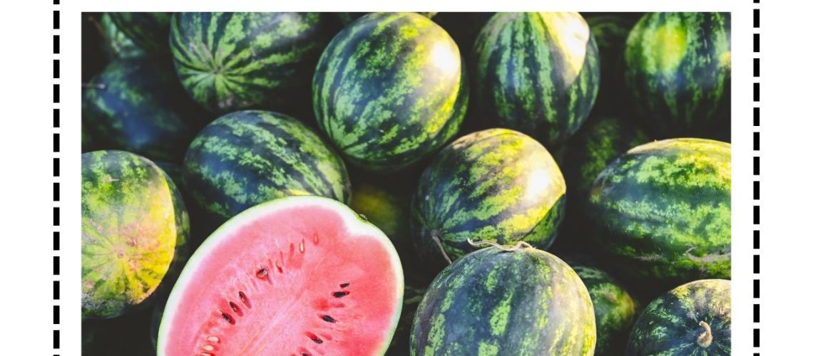 Chinese Reading level C book - 夏天的西瓜 Summer Watermelon