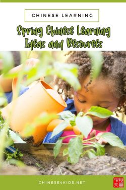 spring Chinese learning