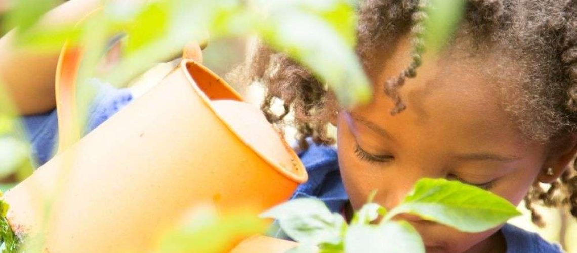 spring Chinese learning